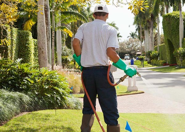 About Mediapolis IA Pest Control